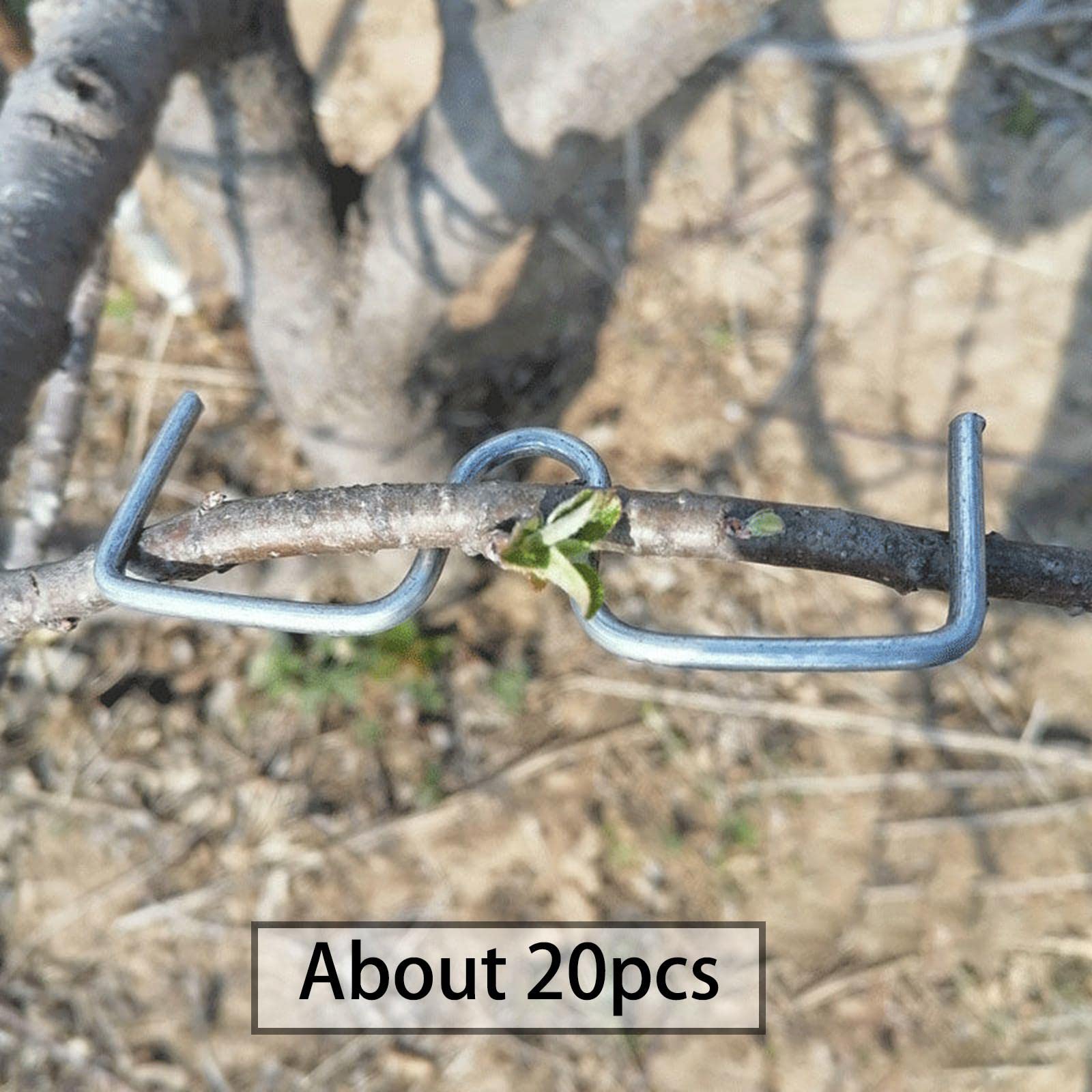 Epandeur de Branches, Plantes Tige Formateur, Arbre Branche Extracteur Fil D'acier Jardin Nouvelles Branches Croissance Formes Soutien Fruits, pour Soutenir La Croissance de Nouvelles Branches, M13cm