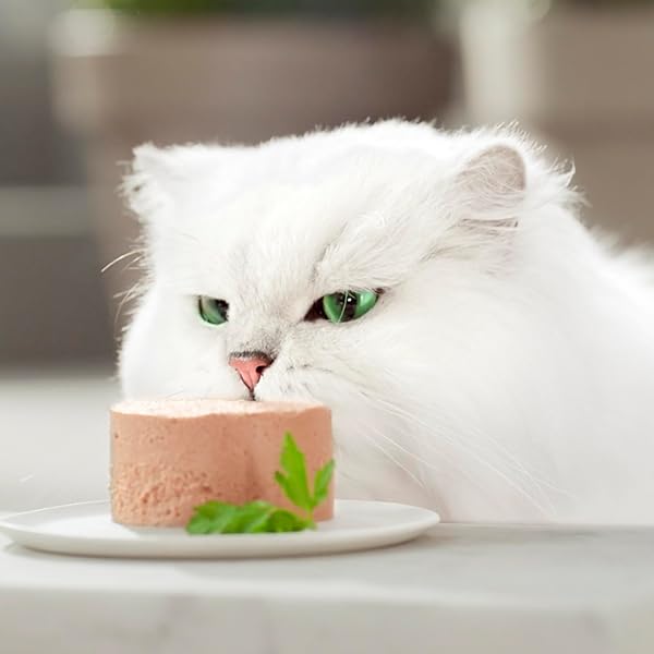 GOURMET Gold Mousse, Comida Húmeda para Gato Adulto, Mousse, Surtido de Buey, Conejo, Cordero y Ternera, 96 latas - 3