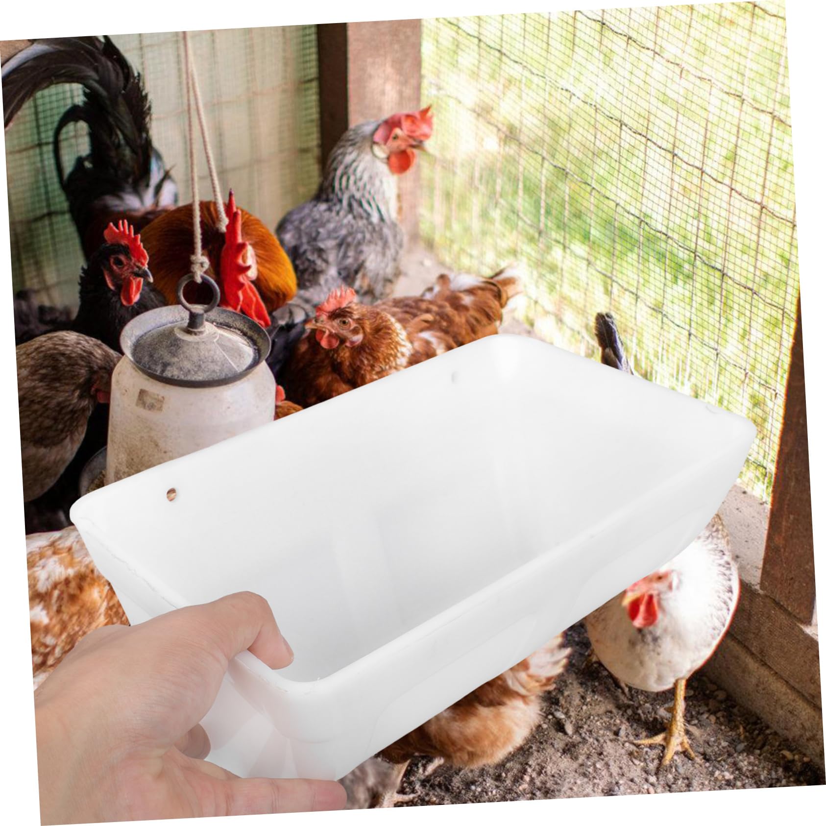 VICASKY 2pcs Hanging Mangiatoia Per Pollame E Capre Mangiatoia Automatico Ad Alta Capacità Rimovibile Per Facile Pulizia Per Polli Oche E Pecora Bianco