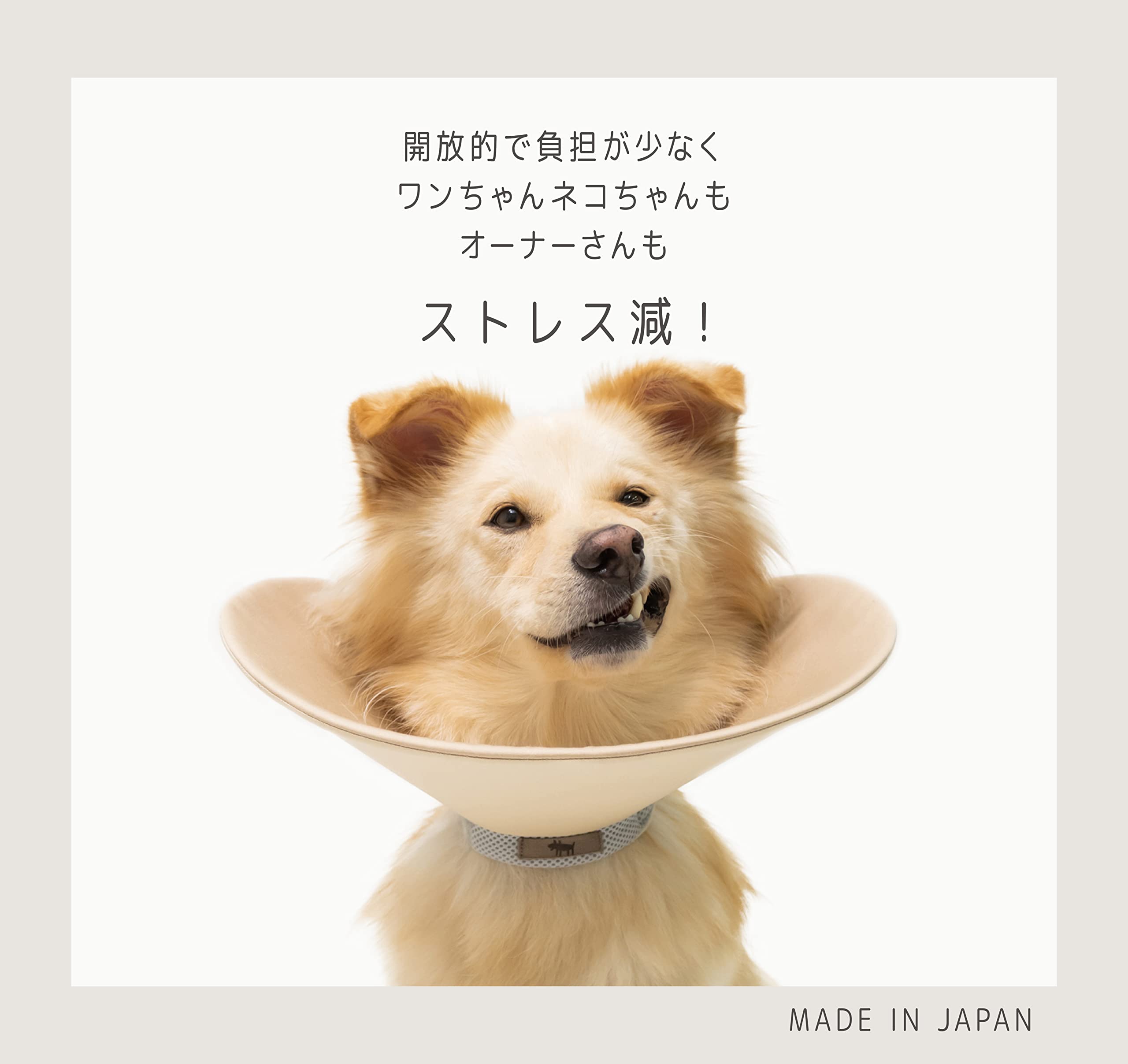 Amazon | THE BESS ハーフエリカラC1 頭の上半分がないハーフタイプの