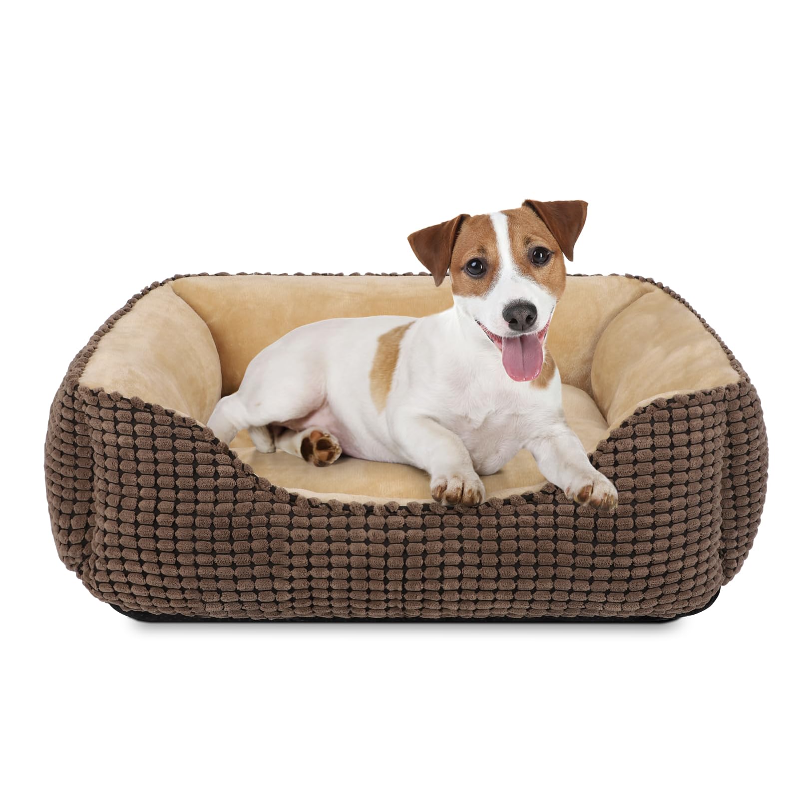 JOEJOY Cuccia Cane Interno, Cuccia per Cani Soffice Lavabile Letto per Cani, Cuccia Cane Interno Taglia Media Piccola, Cuccia Gatto e Cane(63x53x20cm)