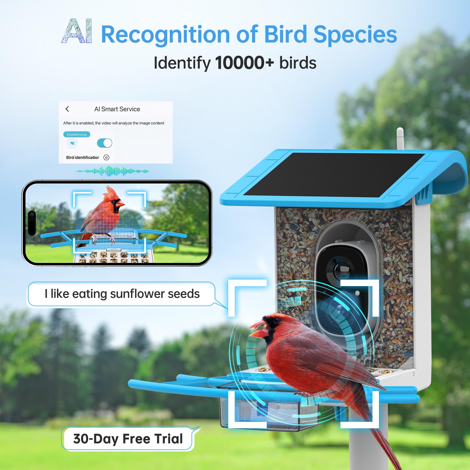 SMONET Vogelfutterstation mit Kamera B300: Intelligente Vogelhaus-Kamera, KI-Erkennung, solarbetrieben, kabellos, WLAN-Vogelfutterstation für den Außenbereich, Live-Video, lustige Geburtstagsgeschenke