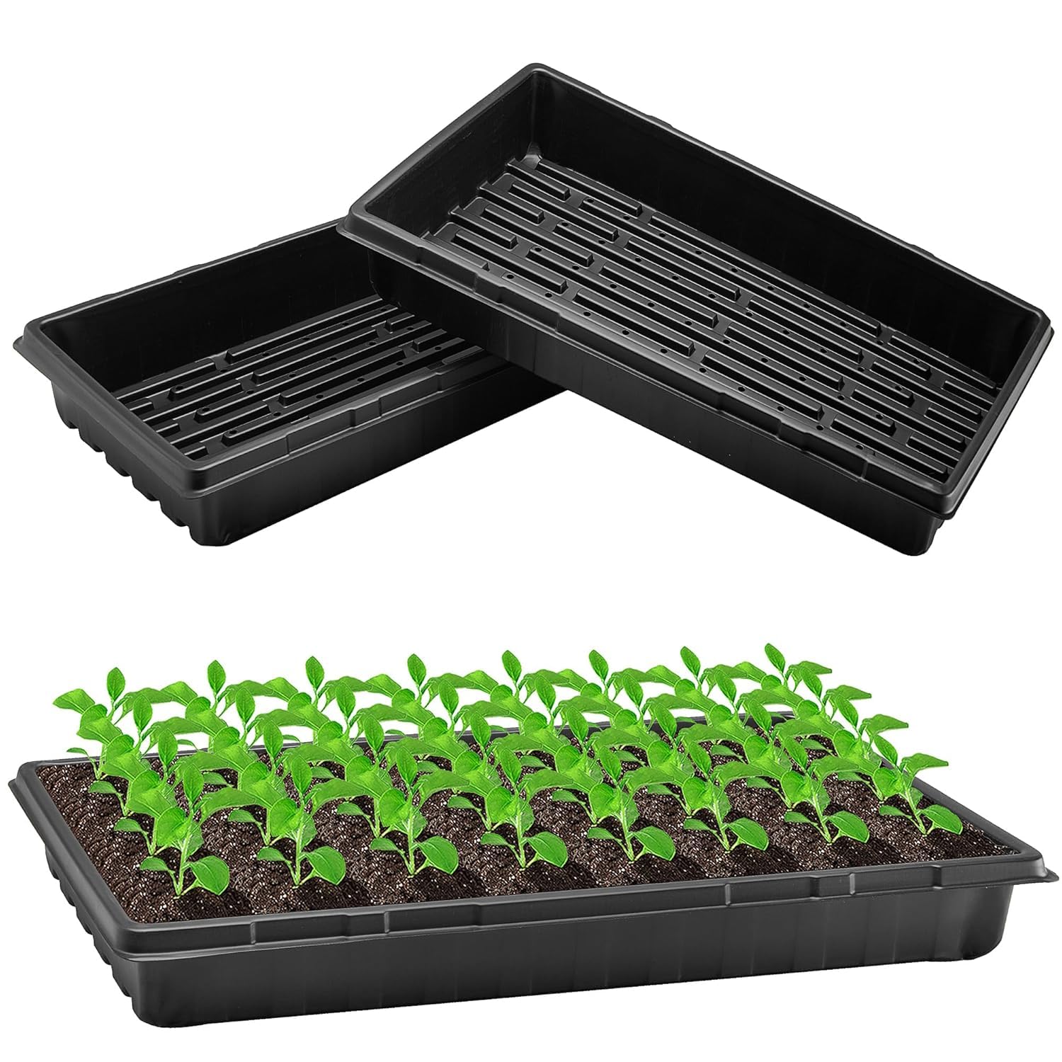 Bethlehem 20x10 Inch Seedling Growing Tray with Drain Holes Black Plastic Hydroponic Plant Starter Tray for Microgreens Wheatgrass Sprouts Flowers Nursery Seed Germination Container (Pack 5)-image-5