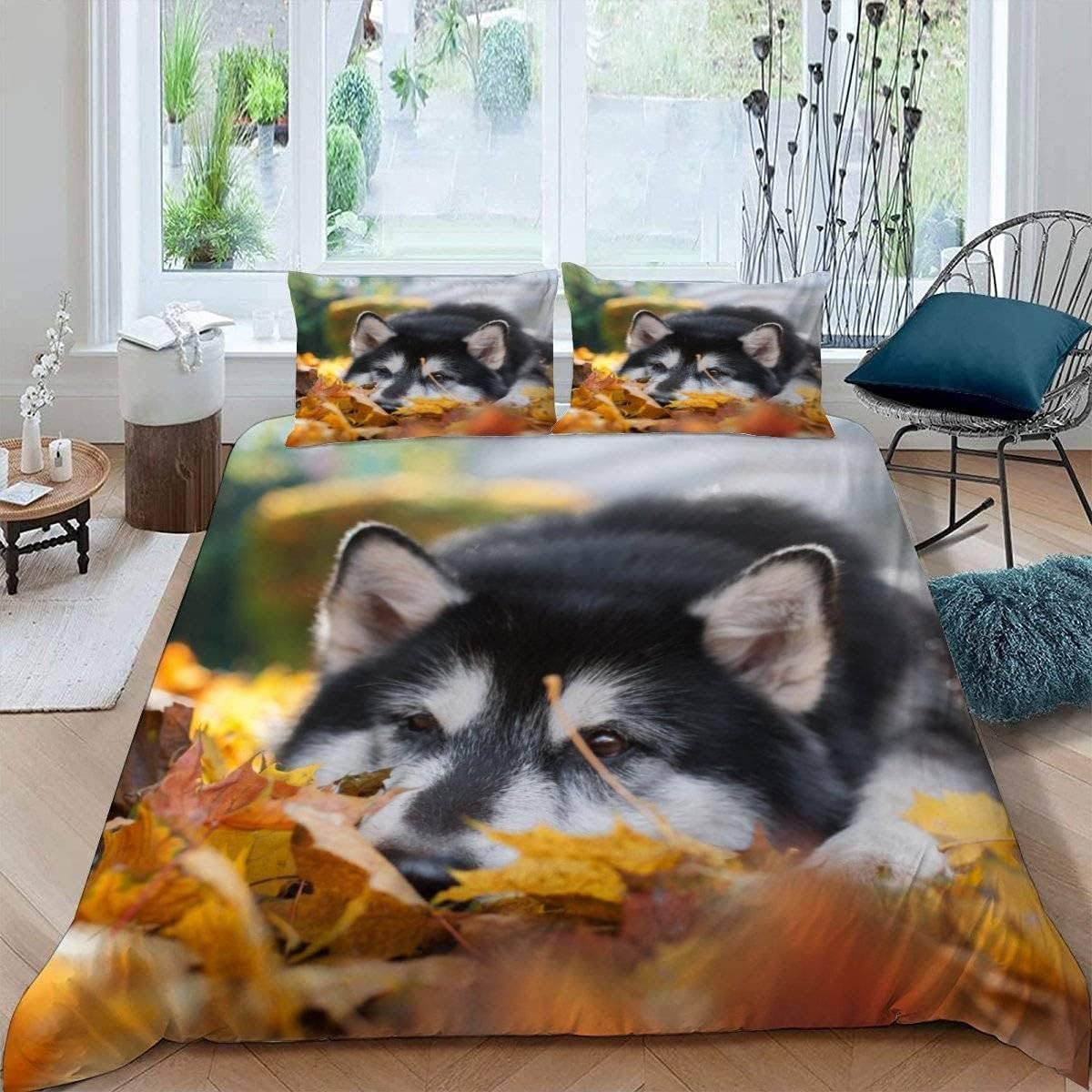 Heiser Pościel 200 x 200 cm, 3-częściowa, poszwa na kołdrę 200 x 200 cm, jesienne liście, zestaw pościeli z miękkiej mikrofibry z zamkiem błyskawicznym i 2 poszewkami na poduszkę 80 x 80 cm, C/77