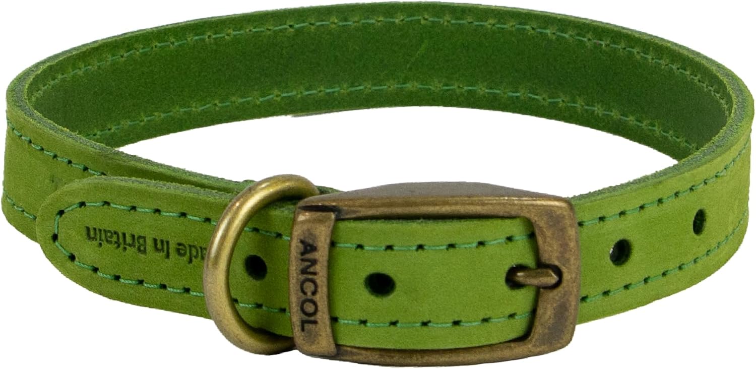 Ancol Bequemes, langlebiges und sicheres Lederhalsband, Trainingszubehör für Haustiere, 26–31 cm, Größe 2, Grün Ancol Bequemes, langlebiges und sicheres Lederhalsband, Trainingszubehör für Haustiere, 26–31 cm, Größe 2, Grün