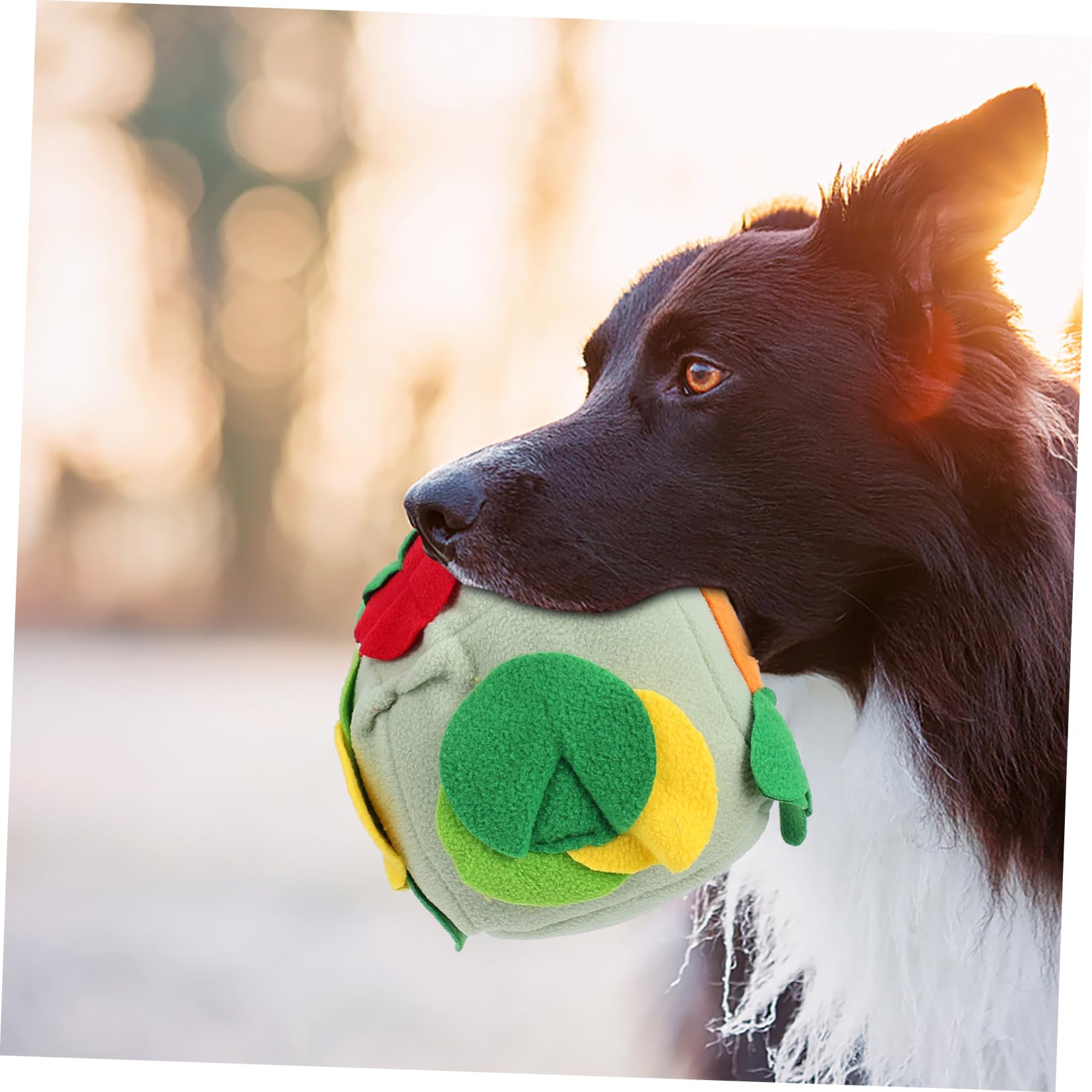FRCOLOR 3stücke Hunde Schnüffelball Interaktives Kauspielzeug Für Langsames Fressen Und Training Fördert Die Sinne Übergewicht
