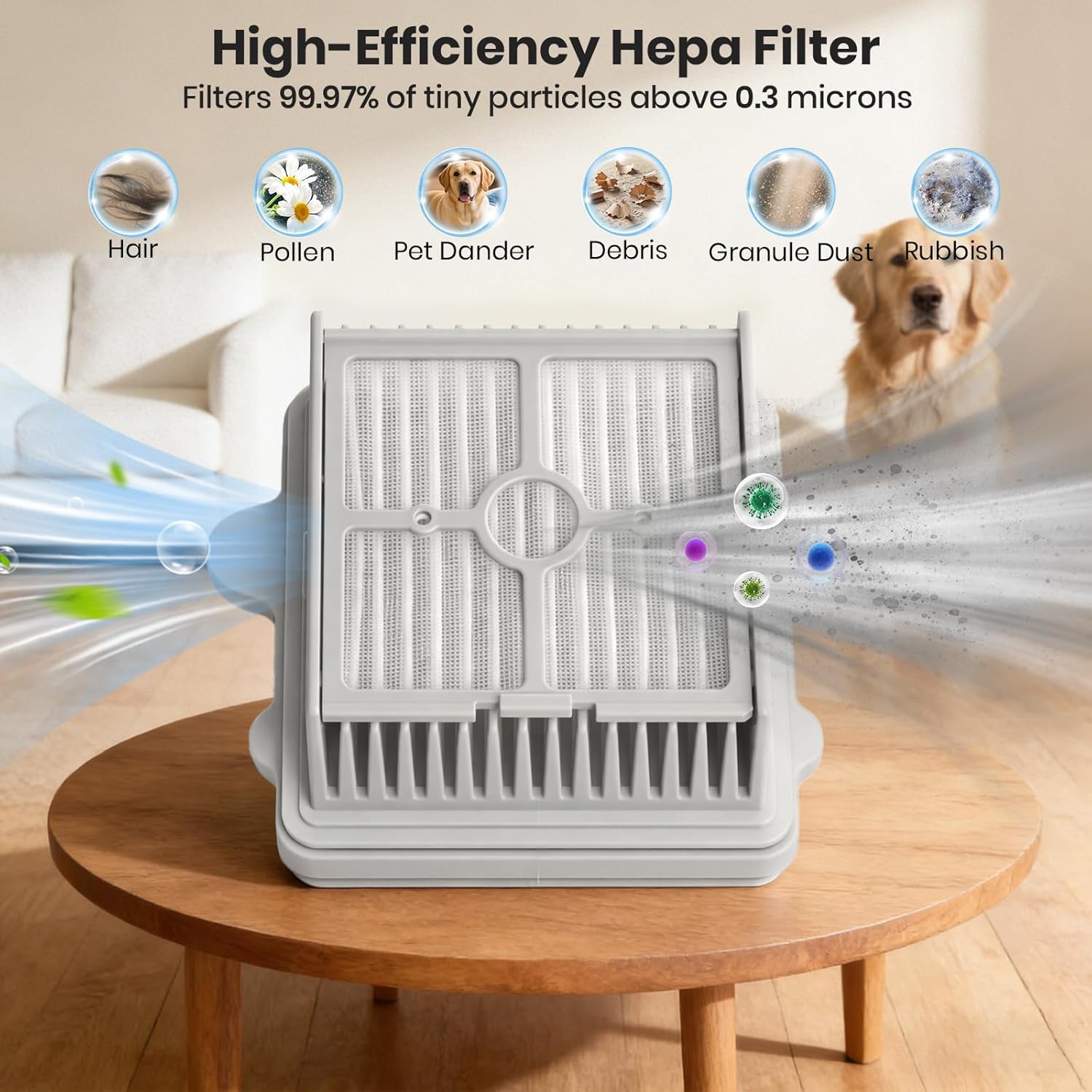 F25 Brush Roller and HEPA Filter Replacement Accessories compatible with Roborock F25/F25 ACE/F25 ALT/F25 LT/F25 RT/F25 ACE/F25 GT Cordless Wet Dry Vacuum Cleaner（2 roller brushes, 4HEPA Filters)