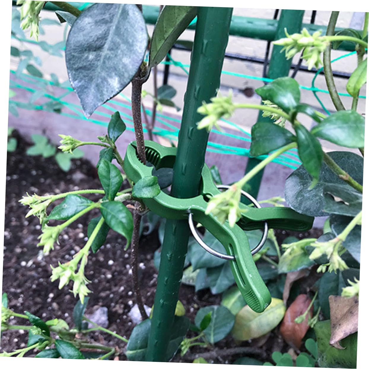 UPKOCH 4 Set Clip per Piante da Set Fermagli per Clip Regolabili E Resistenti per Piante Rampicanti E Accessori Pratici E Riutilizzabili per Giardinaggio 60 Pezzi*4