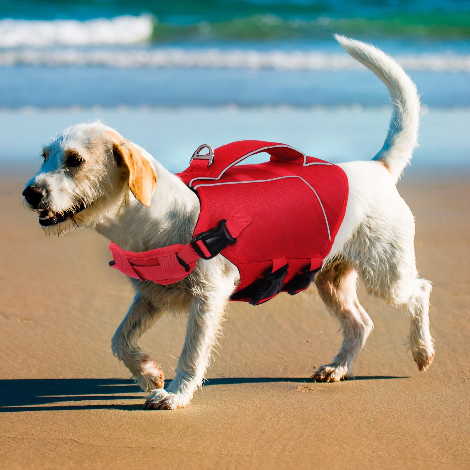 ASENKU Giubbotto di salvataggio per cani gilet sicurezza animali domestici nuoto canottaggio squalo costume bagno taglia piccola media
