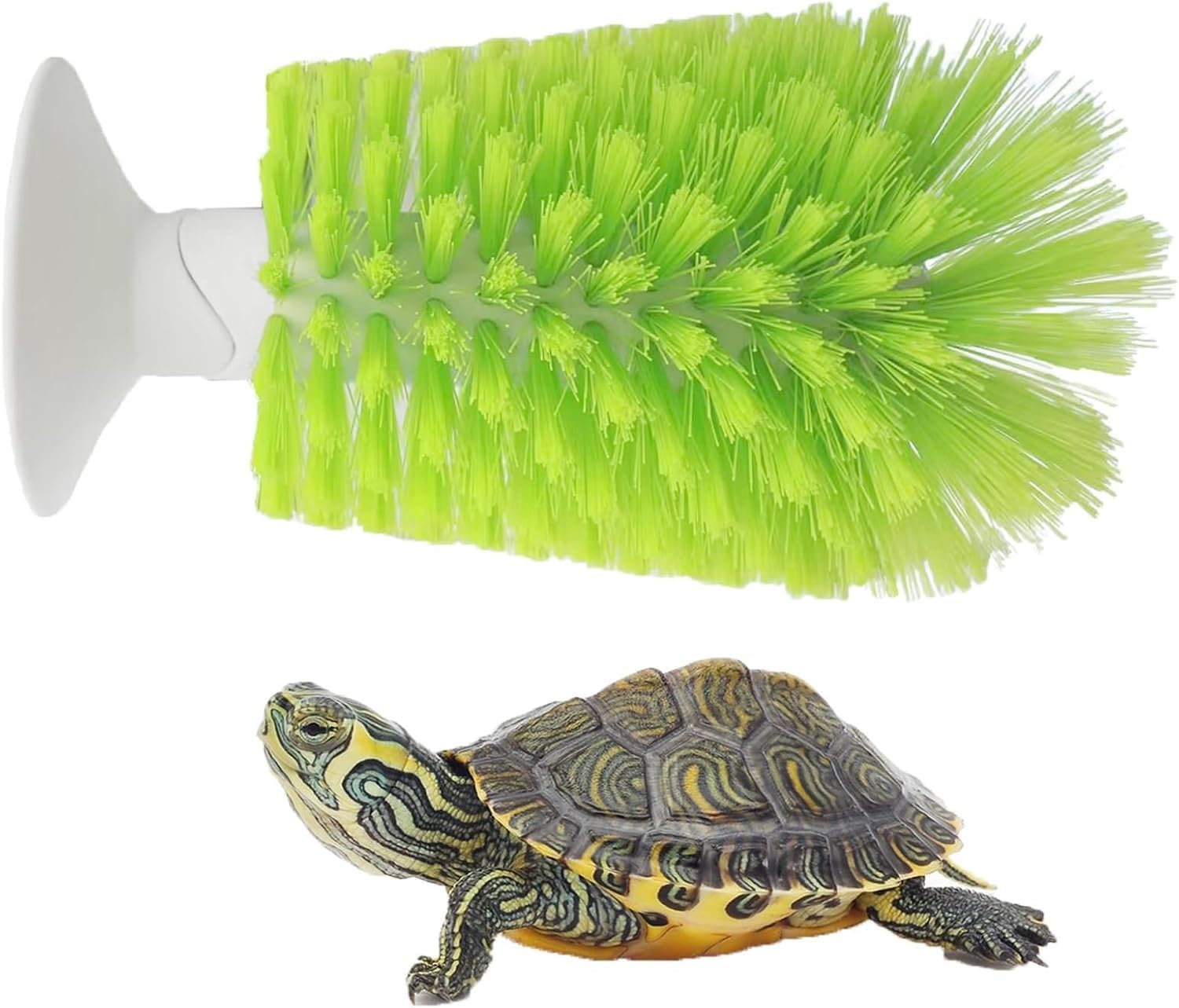 XUKPO Turtle Scrub Brush - Turtle Scratcher Back Brush Turtle Shell Cleaning Brush Red Eared Slider Turtle Exfoliate Brush Tank Accessories Suction Cup Brush for Remove Turtle Shell Scutes(Green)