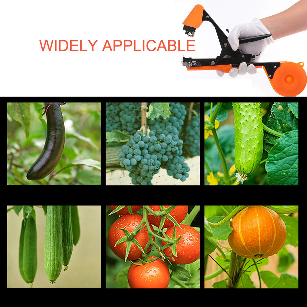 Kit De Ligature Plantes : 20 Rouleaux De Ruban Extensible + 10 000 Agrafes - Pour Tomates, Vignes, Fleurs - Rapide Et Solide - 2