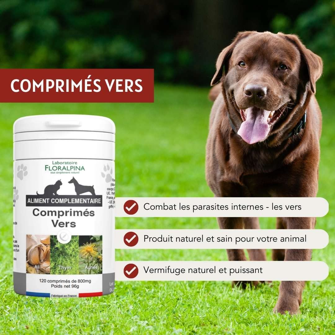 Complexe vers- Vermifuge Naturel pour Animaux (Chien et Chat) 100% Naturel (120 comprmés)