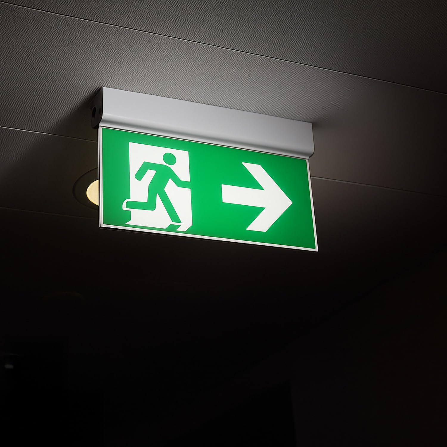 Luz de emergencia LED permanente de 3 W para montaje en superficie con señalización de doble cara y autotest | Greenice