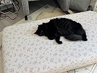 Review Image by Jackie Z Jackie Z