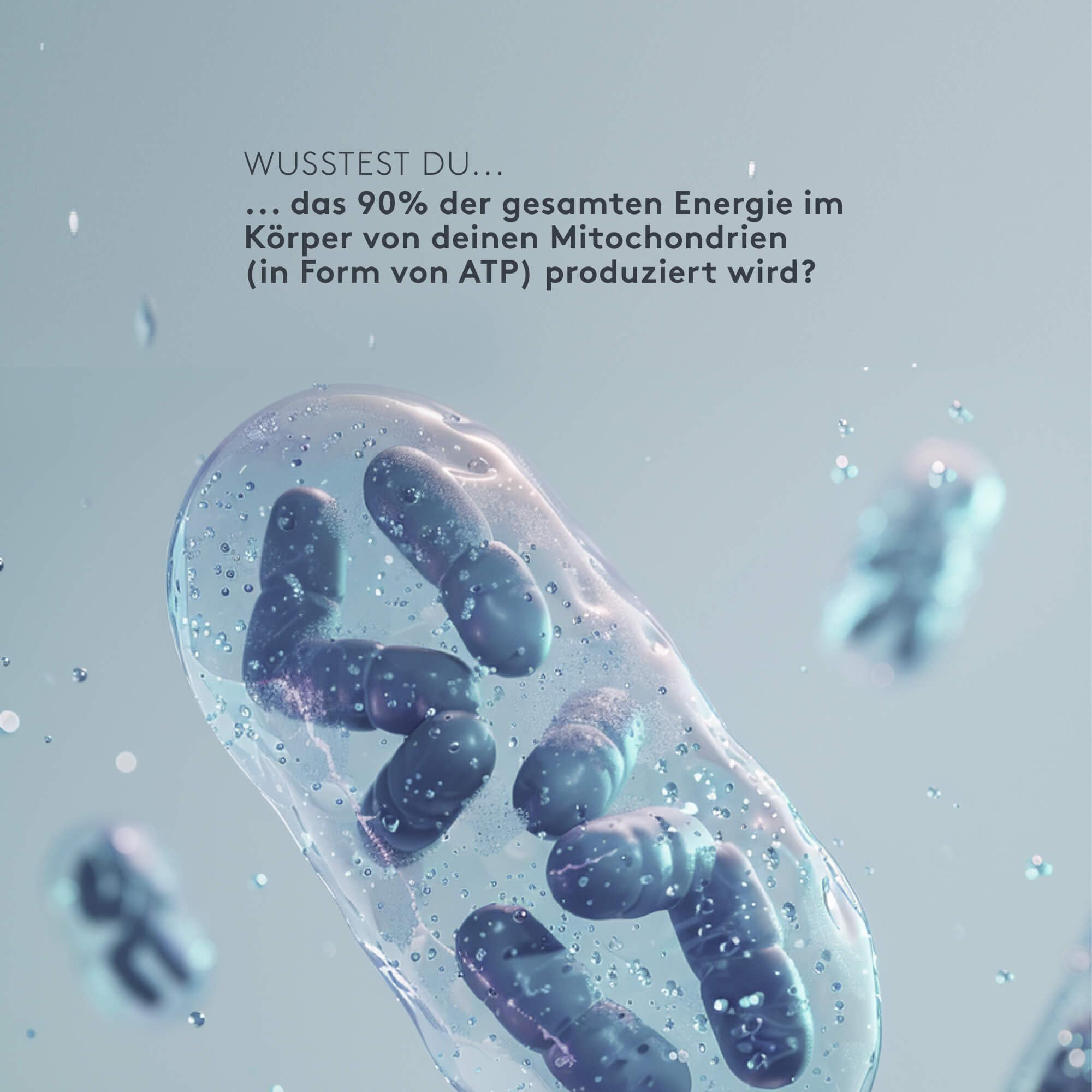 MITOcare Mitochondrien Multi Komplex – Zellenergie Komplex mit 13 Vitaminen, Mineralstoffen, Aminosäuren & Pflanzenstoffen – Coenzym Q10, Alpha-Liponsäure, Taurin, OPC & Resveratrol – 180 Kapseln