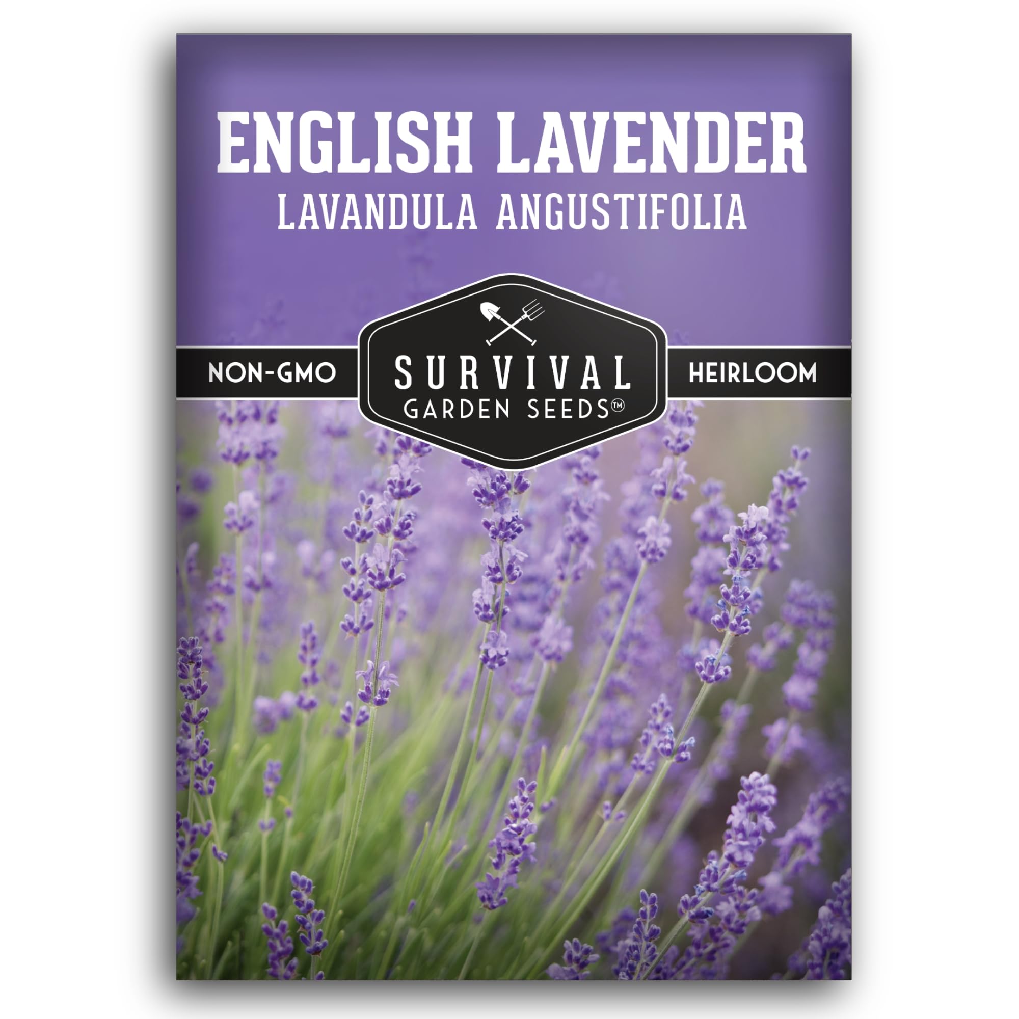 English Lavender Seeds for Planting (Lavandula angustifolia) – Edible Culinary Herb with Fragrant Blooms, Hardy Perennial for Outdoor or Indoor Gardens – Survival Garden Seeds (1 Pack)