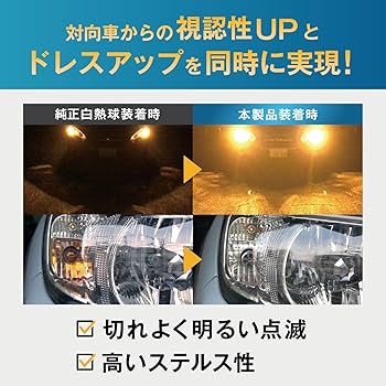 Philips PHILIPS 72691530 WY21W 12V 20W Turn Signal Lamp