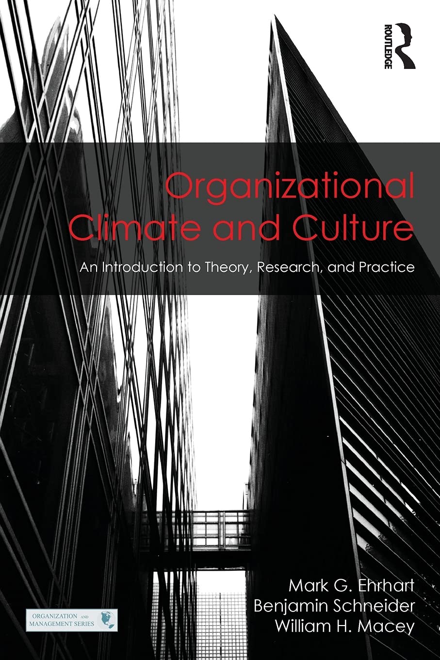 Organizational Climate and Culture: An Introduction to Theory, Research, and Practice (Organization and Management Series)