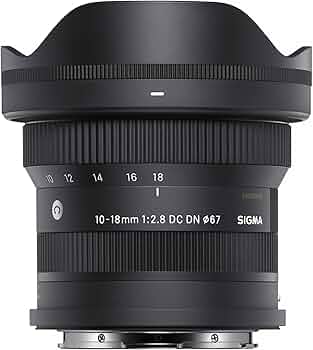 71qrRYedoHL._AC_UF350,