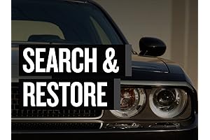 Search and Restore: The Ultimate Solution for Lost Data