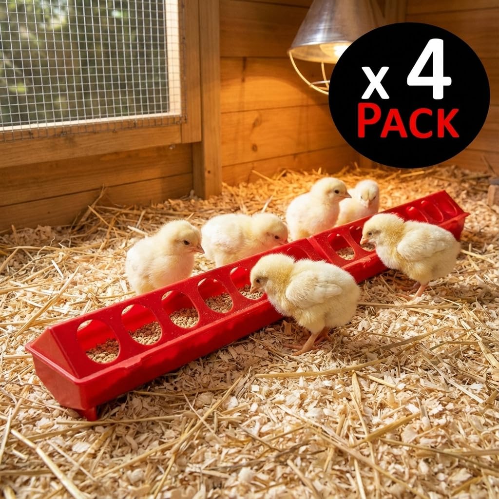 Suinga Pack 4 Mangimi in Plastica per Galline | Con Fori 100x12x13 cm | Mangime per Pulcini di 1ª Età | Canale Anti-Spreco | Ideale per 24 Galline