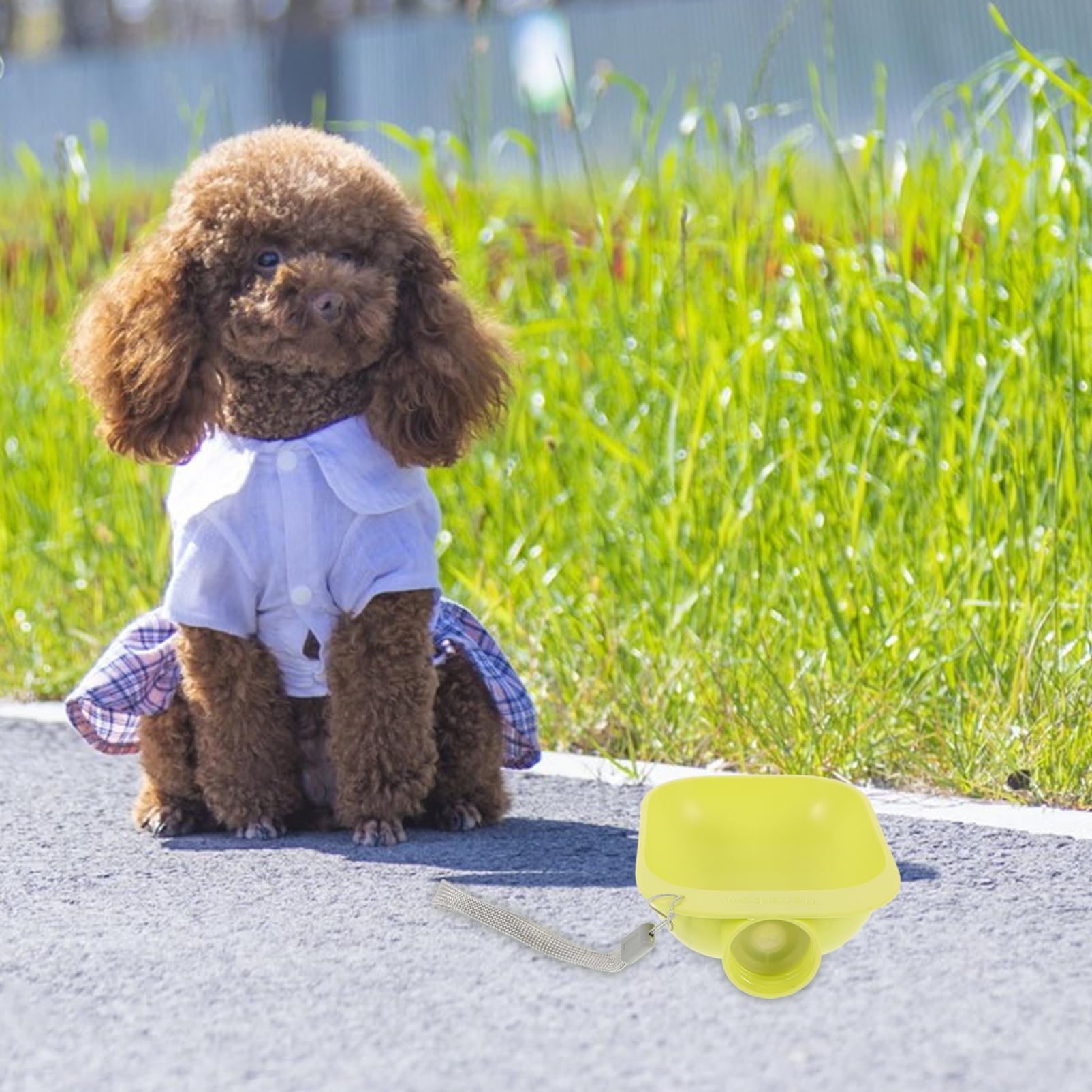 BESPORTBLE 3pcs No Leak Dog Water Bottle Bowl Portable Pet Travel Bowl Dog Water Dispenser Attachment Waterproof Easy to Install