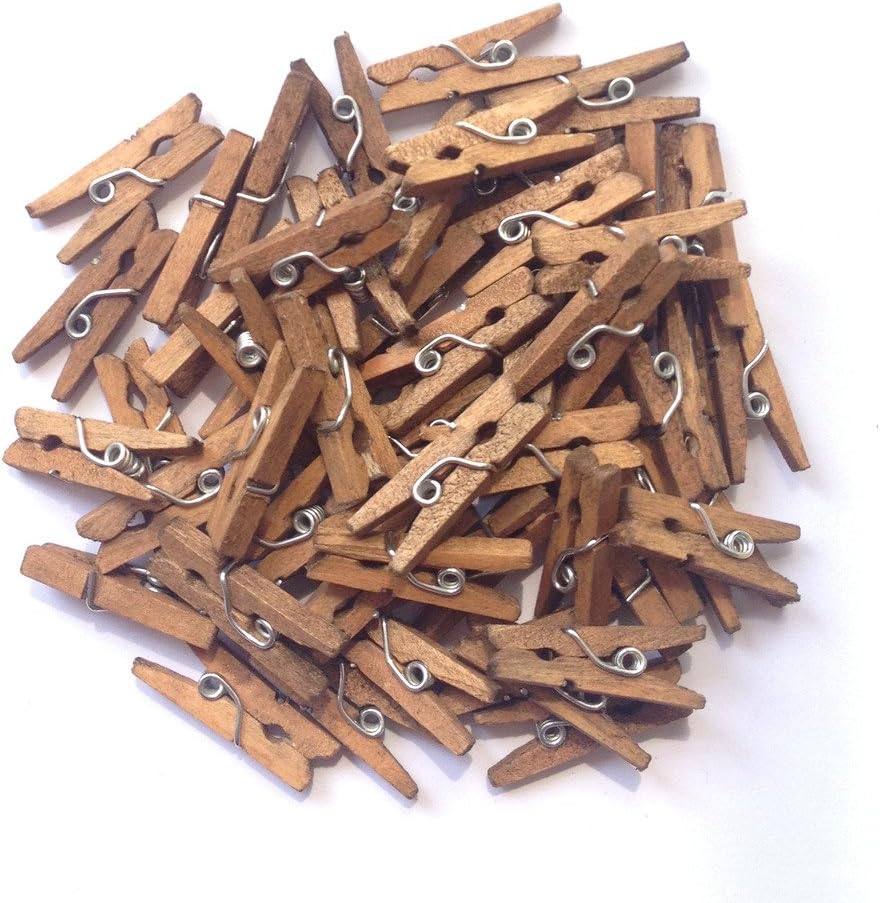 LWR CRAFTS Wooden Mini Clothespins 500 Per Pack 1" 2.5cm (Jacobean)