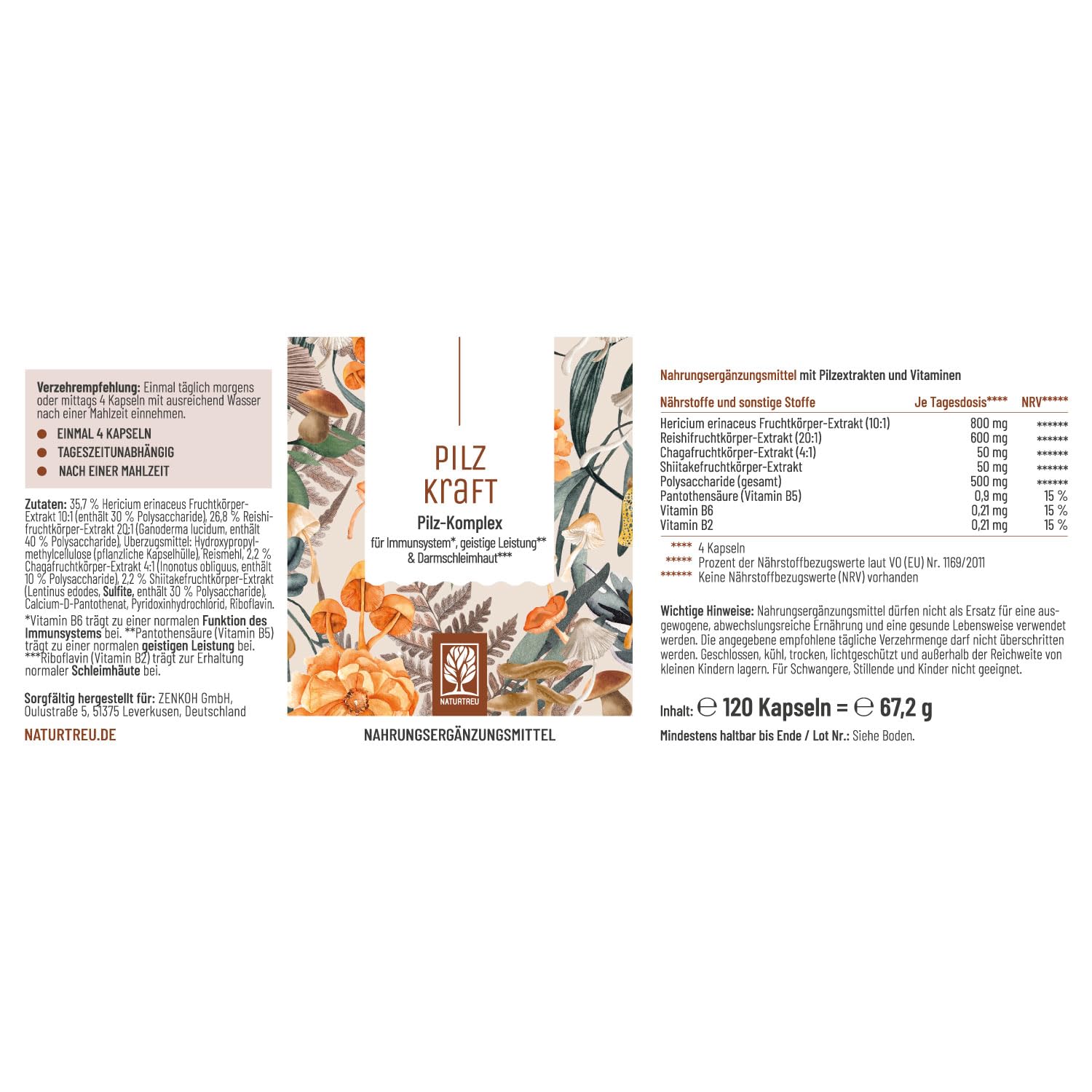 NATURTREU® Pilz Komplex hochdosiert 120 Kapseln mit Hericium Erinaceus (Lions Mane) Extrakt, Chaga, Reishi Extrakt, Shiitake Extrakt, Beta Glucan, Vitamin B2, B5 & B6