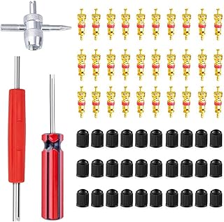 Terberl Valve Core Remover Tool with 30Pcs Tire Valve Cores,30Pcs Valve Stem Caps,4-Way Valve Tool Dual/Single Head Valve Core Remover Tire Repair Tool