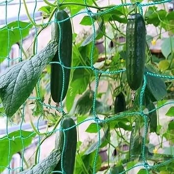 Garden Netting 6.6 x 16.4 ft, Trellis Net for Climbing Plants & Vegetables