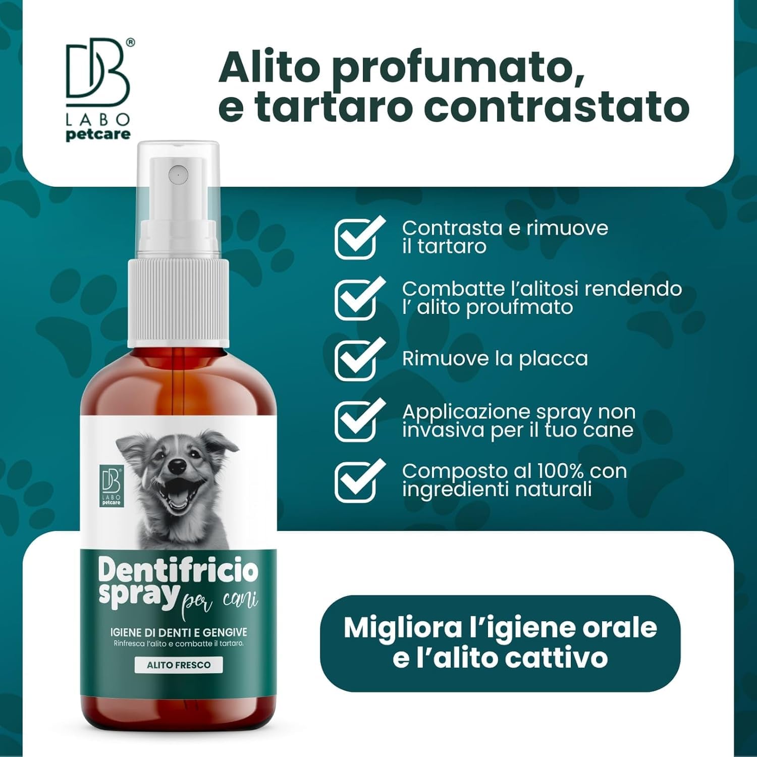 Dentifricio Spray per Cani Antialitosi 100ml Salvia Menta Tea Tree Made in Italy