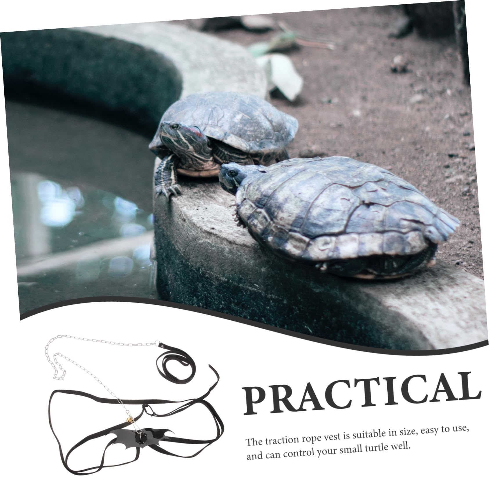 BUGUUYO Turtle Leash Tortoise Accessories Tortoise Harness Outdoor Stainless Steel Chain Pet Walking Lead