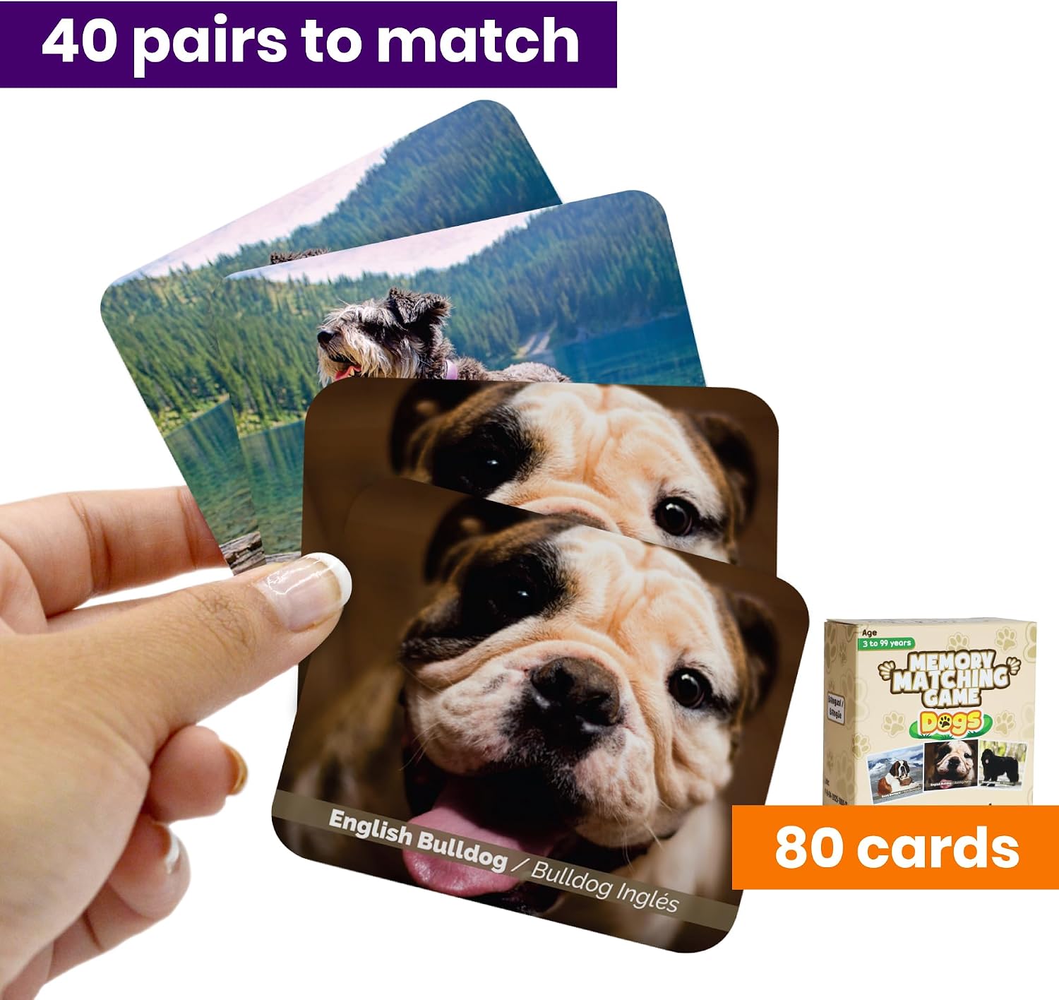 Menique Dogs Memory Matching Game for Kids – 80 Bilingual Cards, 40 Pairs with Real Dog Breed Photos – Educational Family Card Game for Ages 3+ image 2