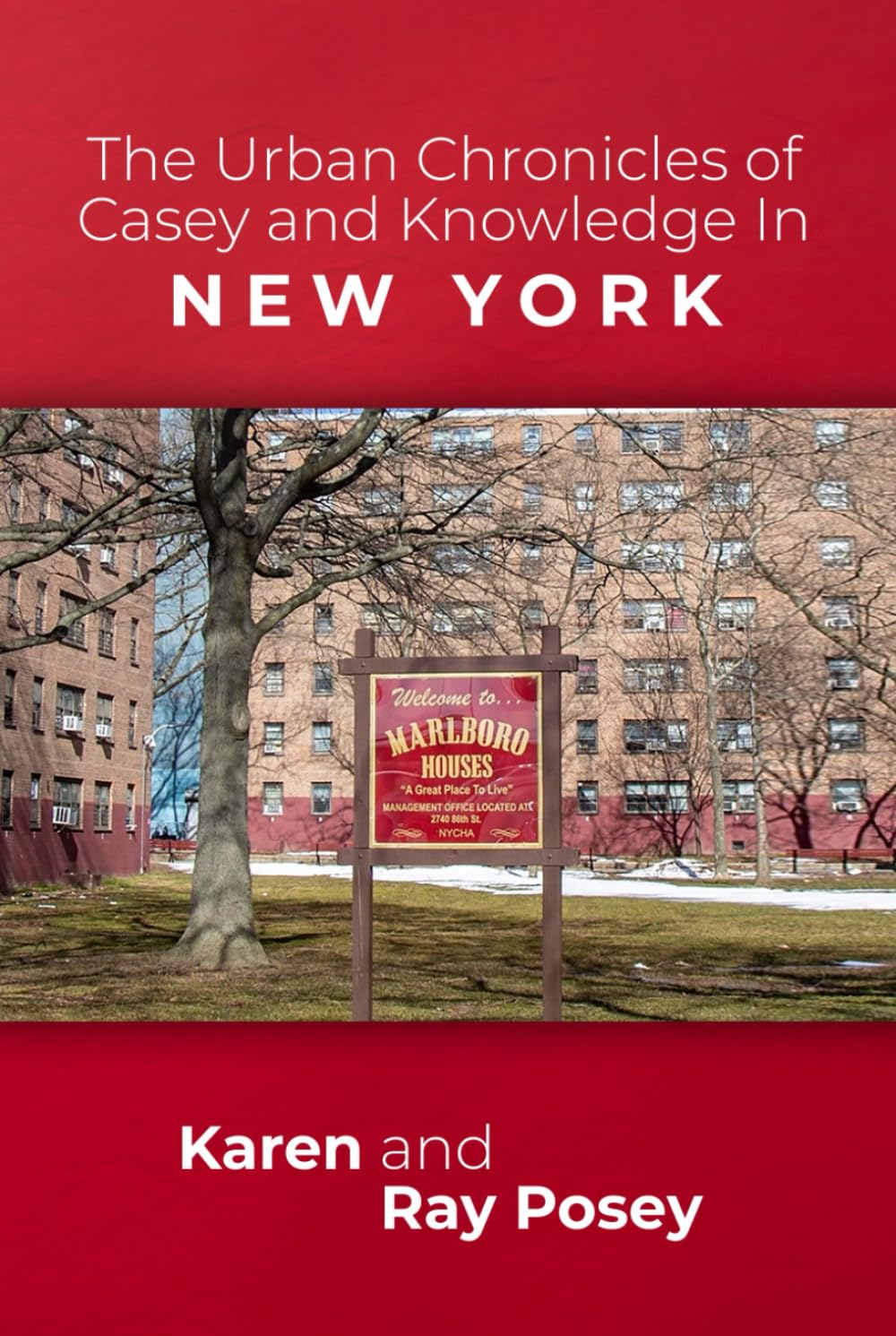 The Urban Chronicles of Casey and Knowledge In New York