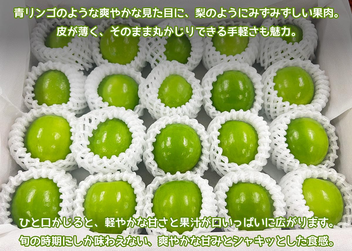 Amazon.co.jp: 台湾ナツメ 約2.5kg 18〜24個入 産地箱｜空輸にて特選 
