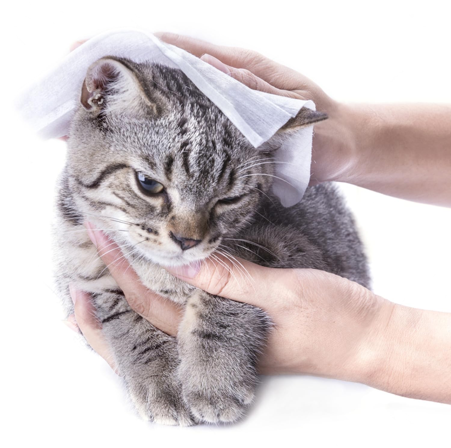 Paquete de 50 toallitas húmedas portátiles listas para usar NAPKIN GO 03 en cápsulas desechables con fragancia Oceano, biodegradables, hipoalergénicas, aptas para piel sensible.