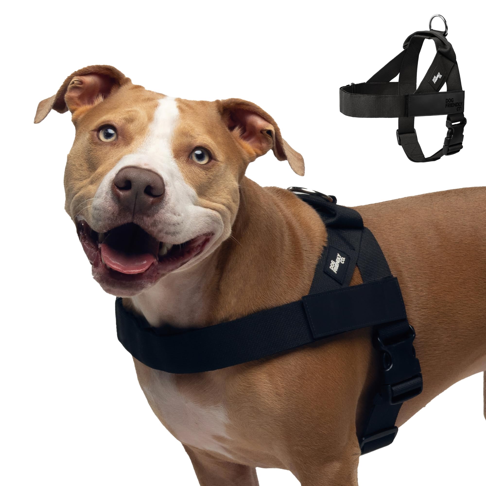 Dog Friendly Co. Arnés para perros grandes, diseño sin tirones (negro, L)