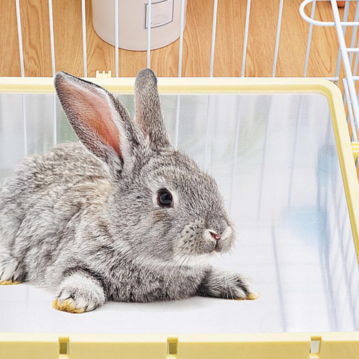 INOOMP Kühlmatte für Haustiere aus Aluminium 50x30cm Wärmeableitende Sommer Kühlplatte für Kaninchen Hunde Hamster Glatte Oberfläche Bissfest Schnell Kühlend