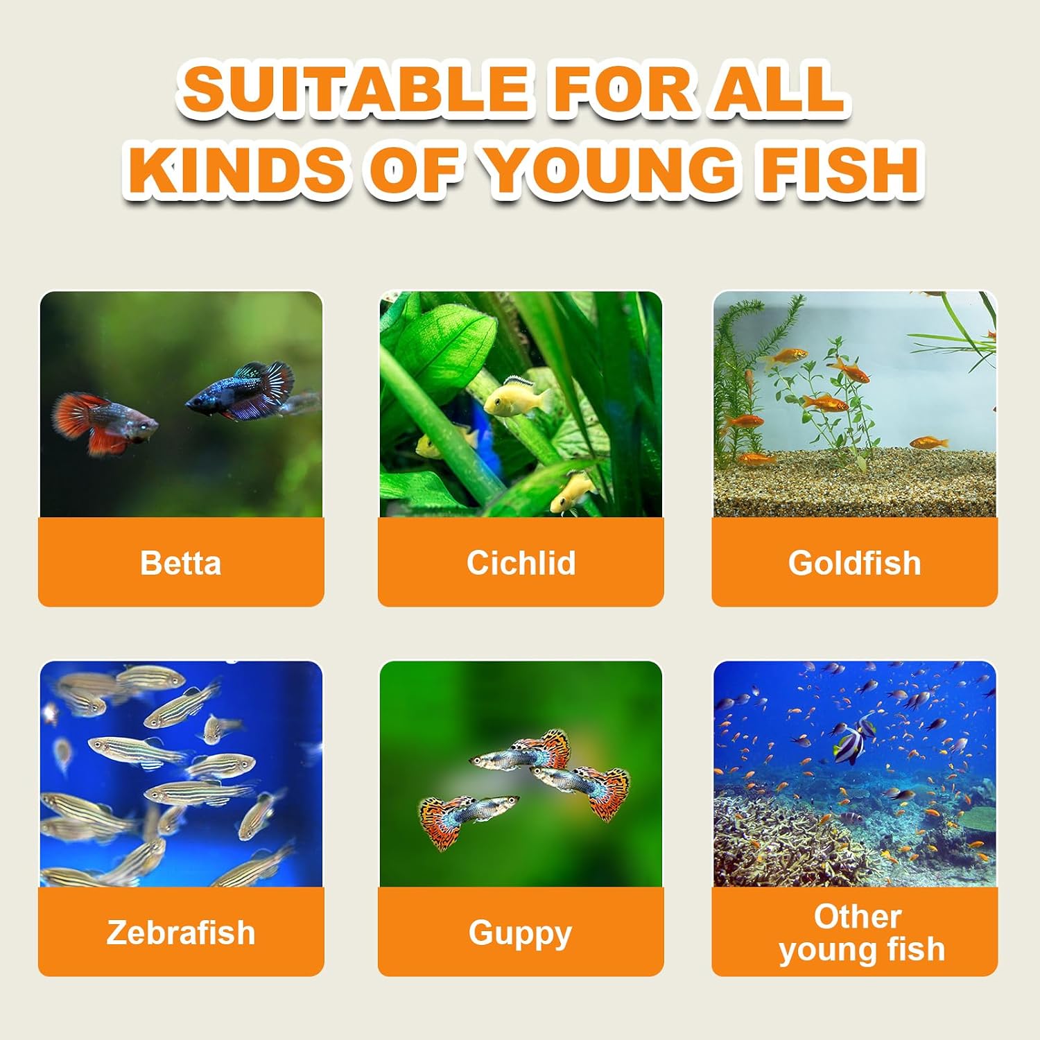 Brine Shrimp Eggs Fish Food - Sea Monkey Eggs 90% Hatch Rate Aquatic Foods for Freshwater & Saltwater Fish, Shrimp, Fry (5oz)