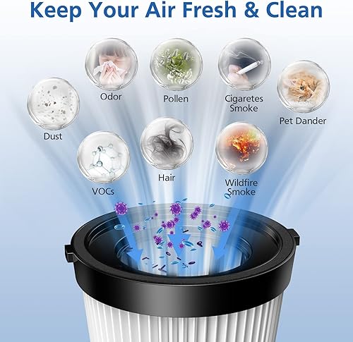 Miniatura 7 de Nequare Vacuum S181 - Paquete de 6 filtros HEPA FSV001 compatibles con Fabuletta FSV101, FSV001, Girnoor G160 y G165, Afoddon A300, Lubluelu 202,