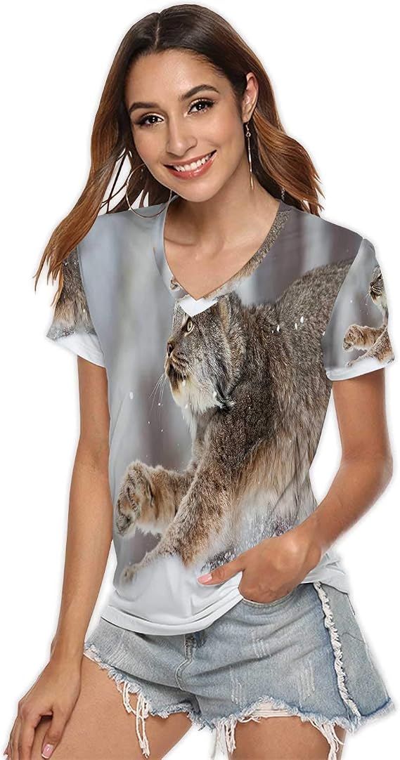 prowl brand t shirts price