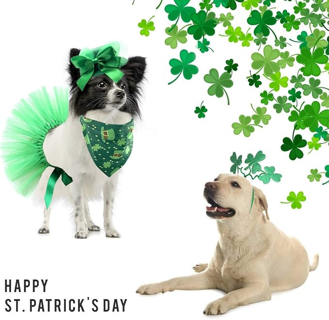 Disfraz de San Patricio para Perro - Sombrero, Pañuelo y Tutú Verde miniatura 5