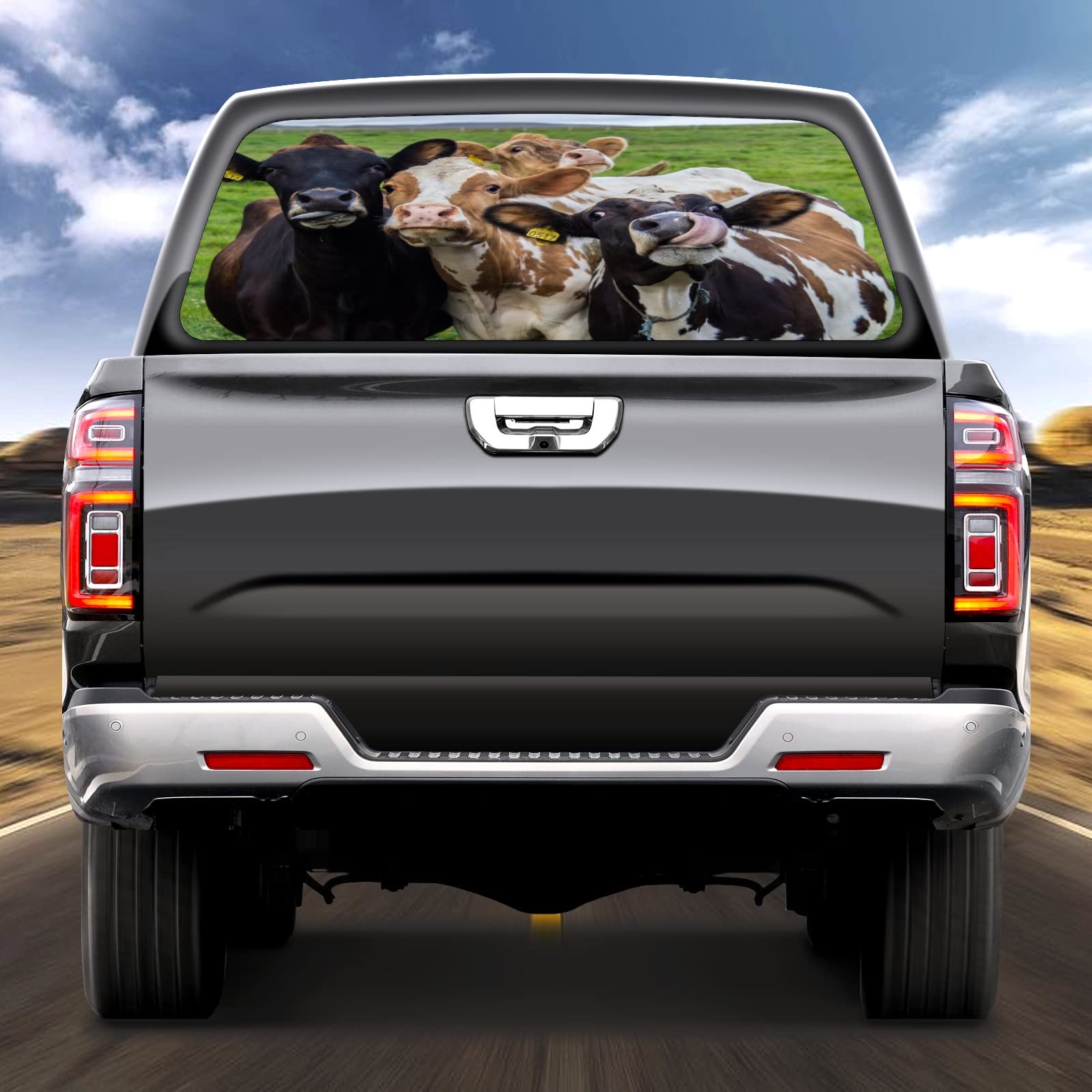 Adesivo Furgone PERSONALIZZATO – Mr Pubblicita - Foto 2