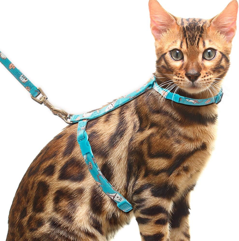 CHERPET Cat Harness and Leash with Breakaway Collar Set - Escape Proof Adjustable for Outdoor Walking, Safety Buckle Durable Blue Nylon Cute Personalized Printed Harnesses for Kittens Small Animals