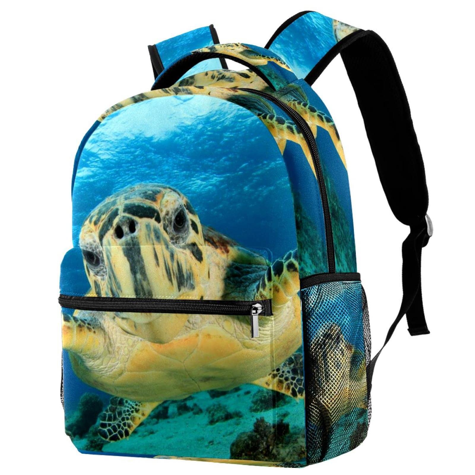 Mochila universitaria Tortuga cómoda para espalda cargada de libros 7
