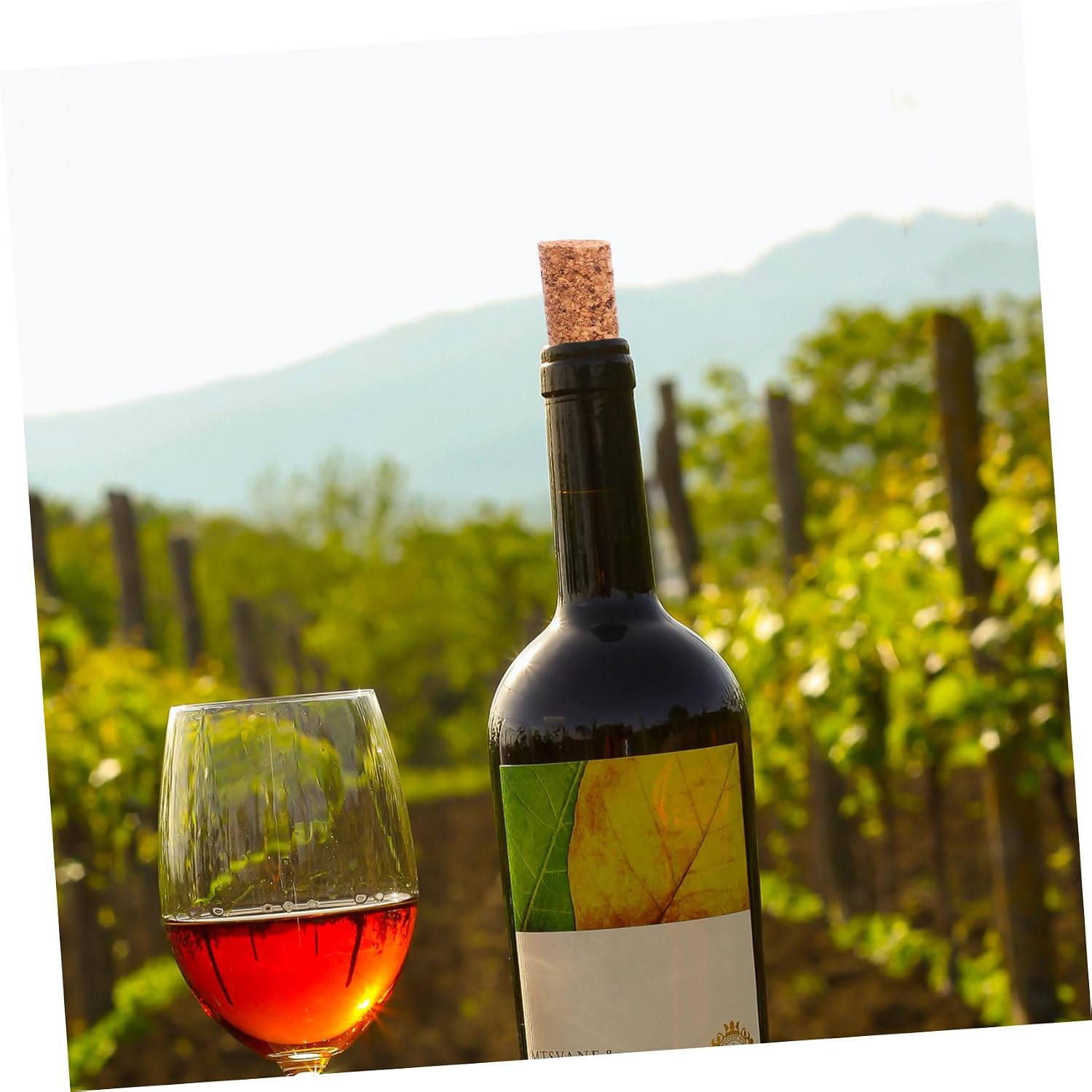 2pcs Wine Bottle Cork Stoppers Replacement for Glass Bottles