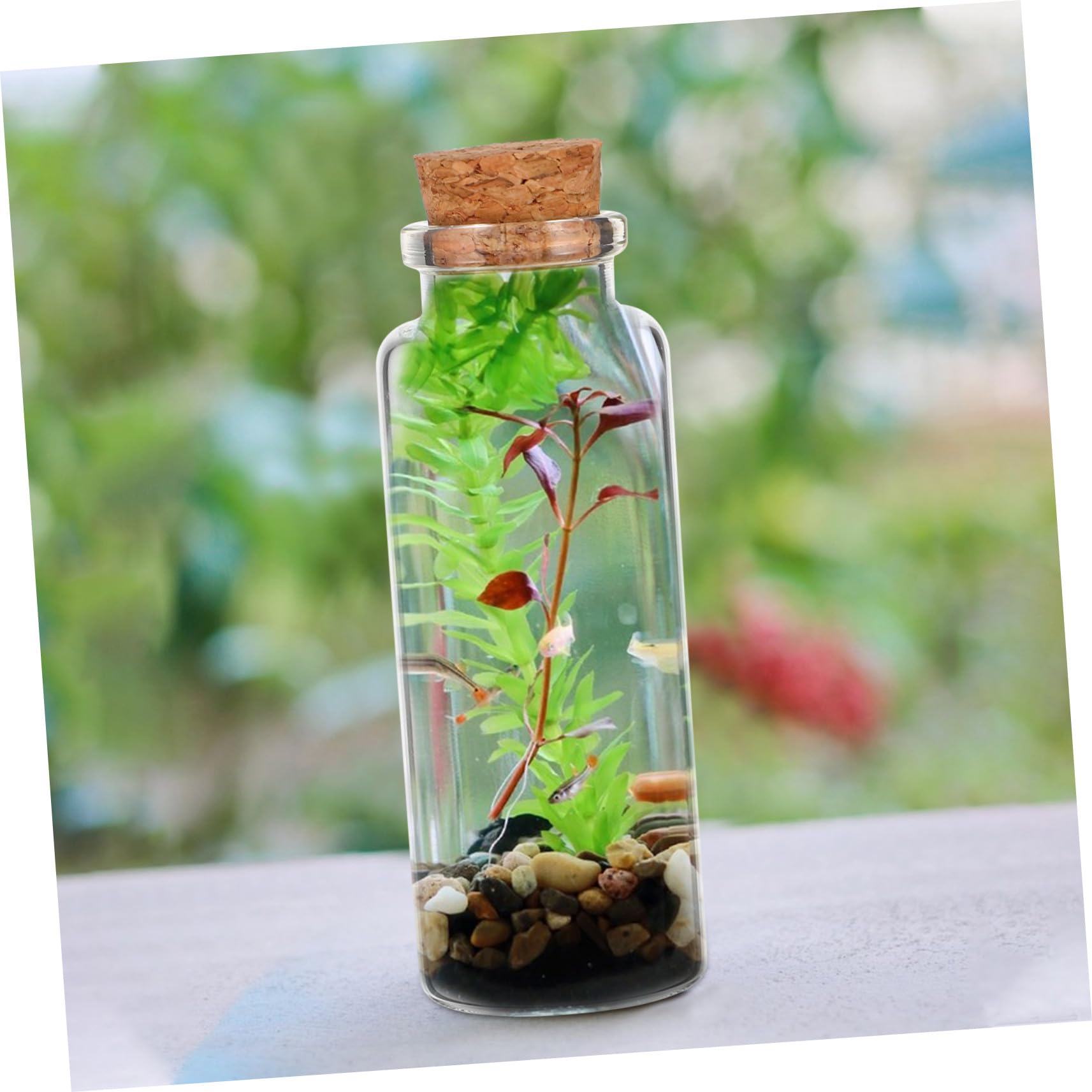 50 pezzi Mini Bottiglie in Vetro con Tappo in Sughero Morbido Barattoli Trasparenti Decorativi per Messaggi di Auguri Bomboniere Matrimonio e Decorazioni per Casa e Ufficio