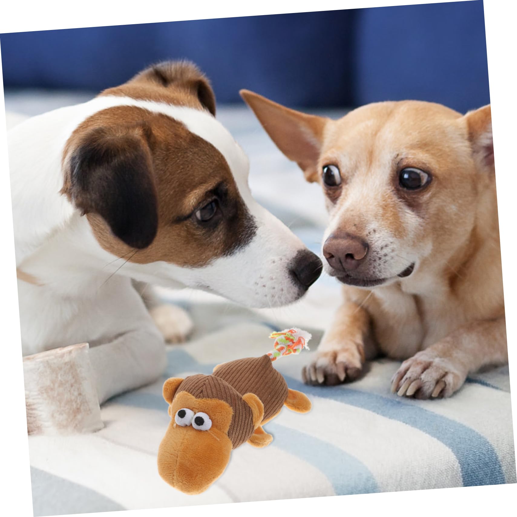 BESPORTBLE Jouet pour Chien Peluche à Mordre avec Jouet Interactif pour Chiots Et Chiens Activité Et Détente Noël