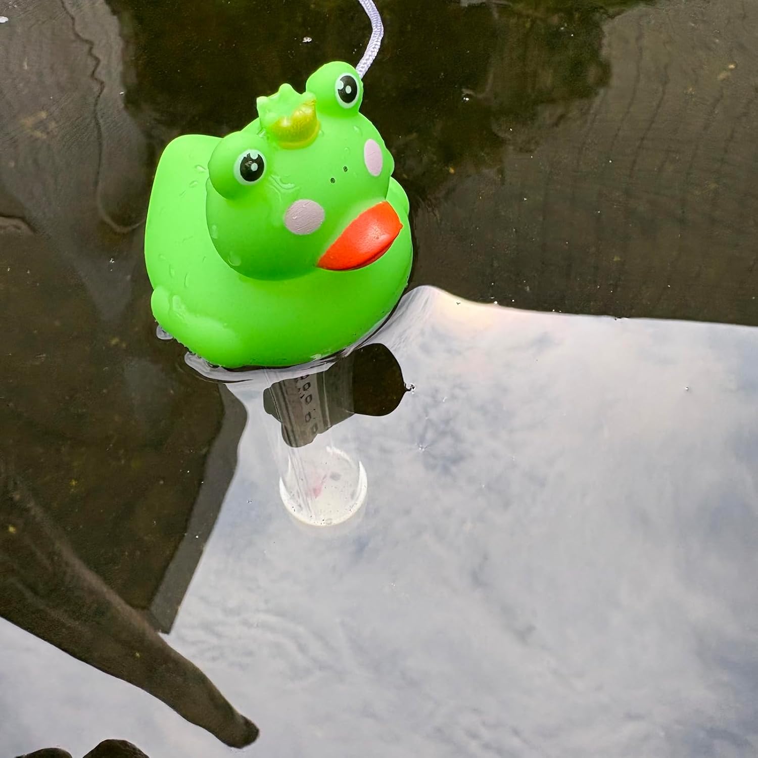 Floating Pool Thermometer,Frog Duck Water Temperature Thermometer for Ice Bath with String,Easy Read for Swimming Pool,Spas,Hot Tubs,Pond