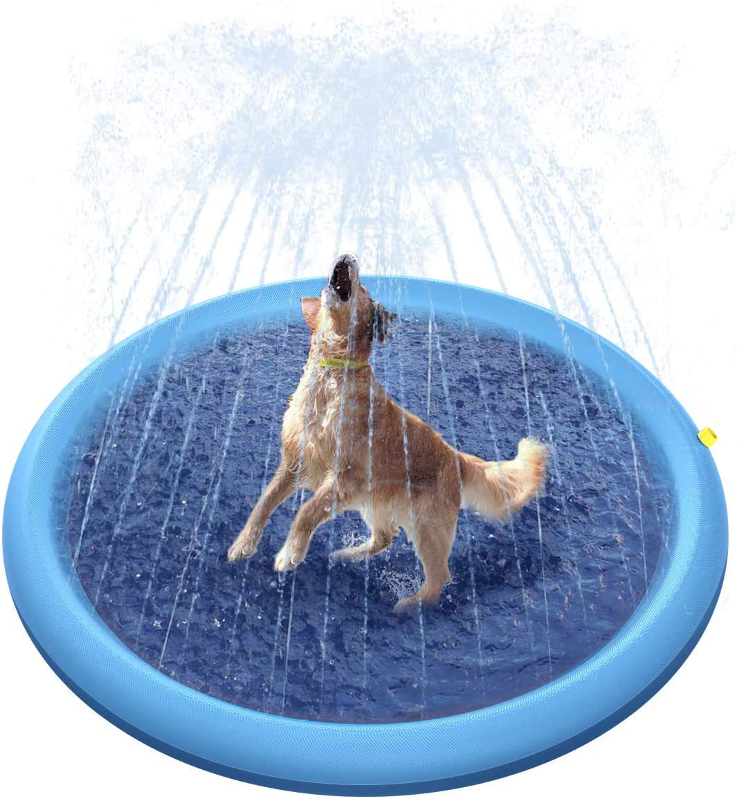 dog pool accessories